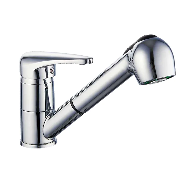 รูชั้นเดียวดึงออกมาในครัว faucet